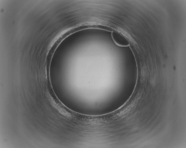 X0000068260934200604211041