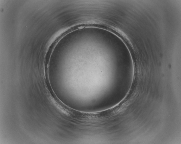 X0000068260935200604211041