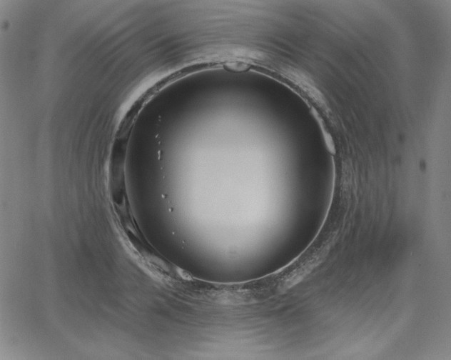 X0000068260936200604211041