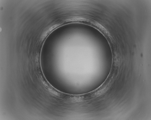 X0000068260937200604211041