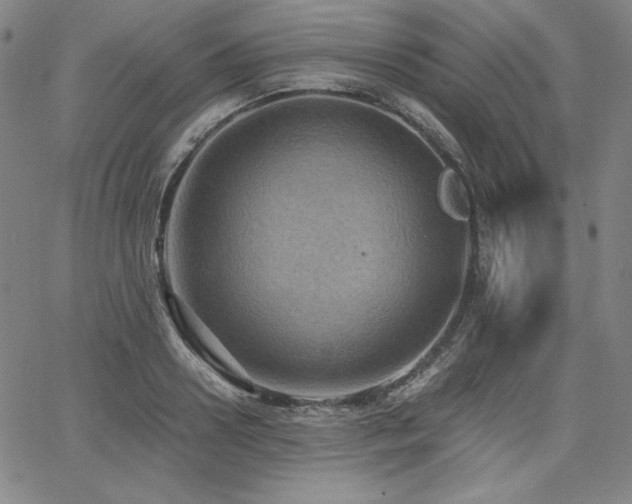 X0000068260938200604211041