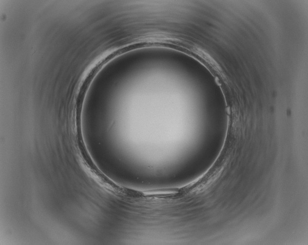 X0000068260939200604211041