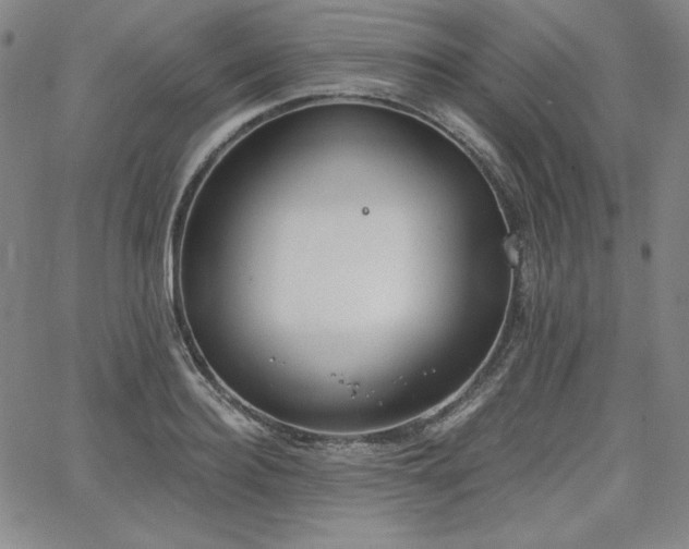 X0000068260940200604211041