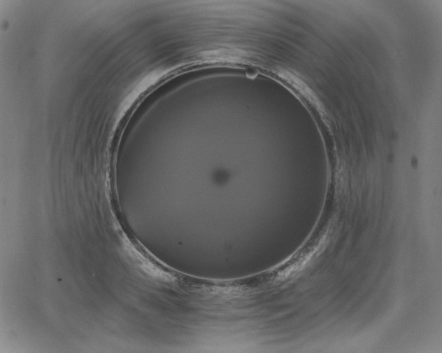 X0000068260941200604211041