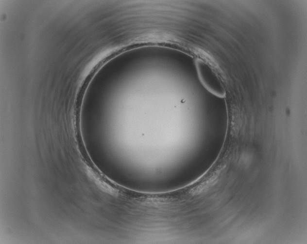 X0000068260942200604211041