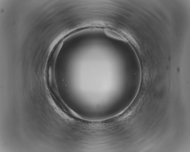 X0000068260944200604211041