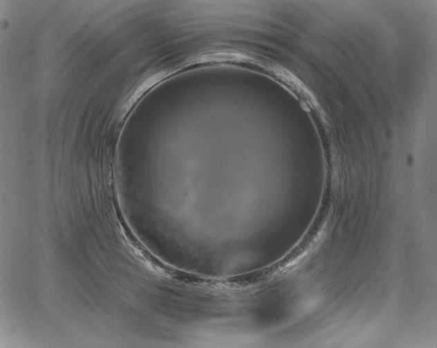 X0000068260945200604211041