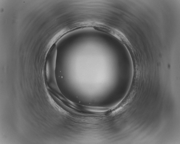 X0000068260946200604211041