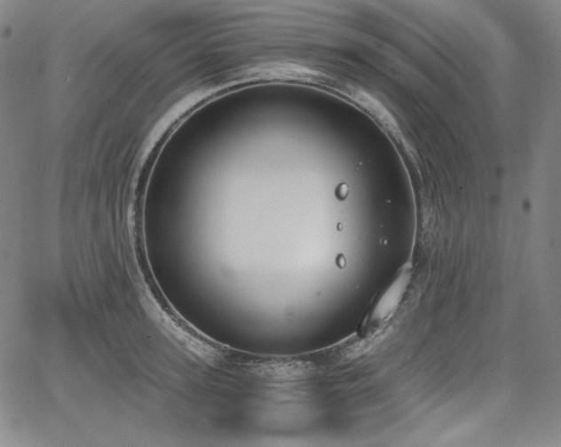 X0000068260947200604211041