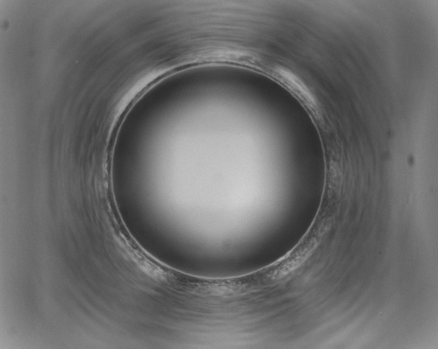 X0000068260948200604211041