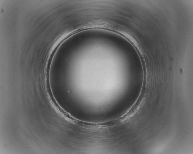 X0000068260949200604211041