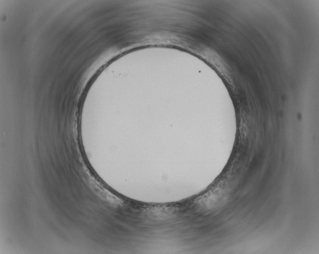 X0000068260950200604211041