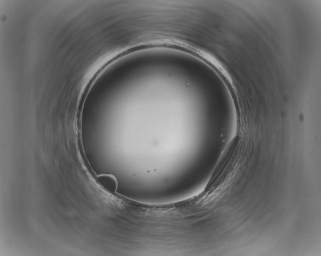 X0000068260951200604211041