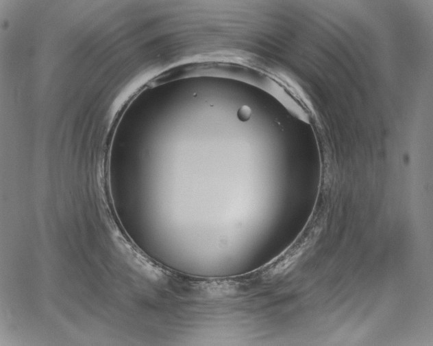 X0000068260952200604211041