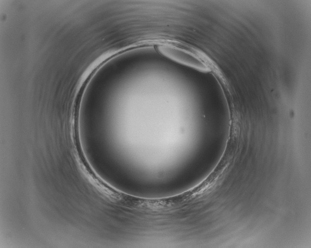 X0000068260955200604211041