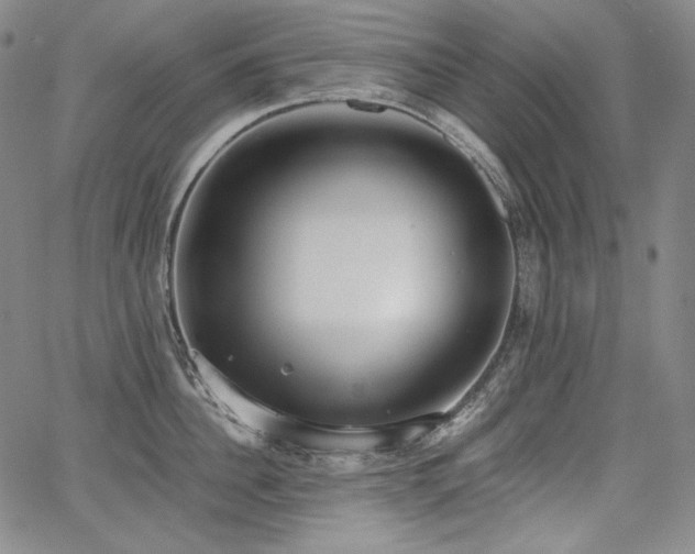 X0000068260956200604211041