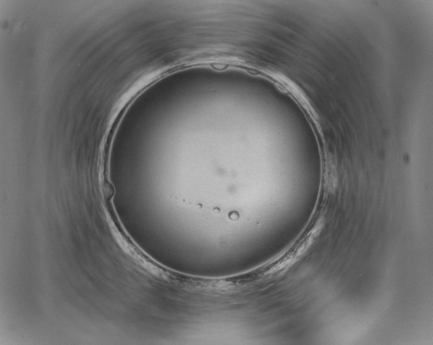 X0000068260957200604211041