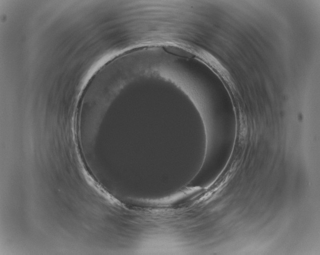 X0000068260958200604211041