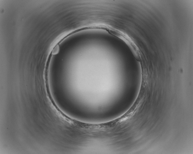 X0000068260959200604211041