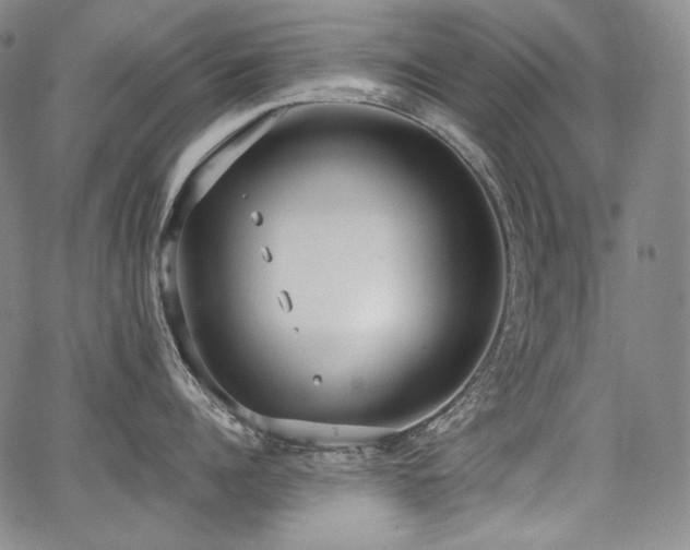 X0000068260960200604211041