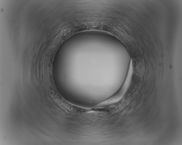 X0000068260961200604211040