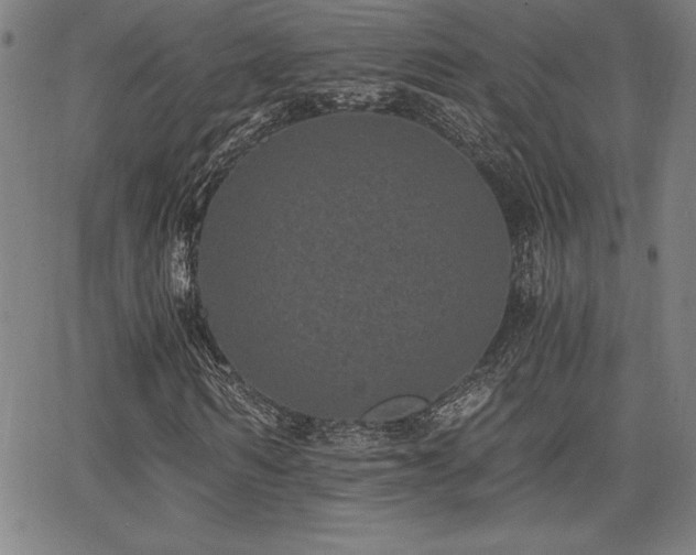 X0000068260962200604211040