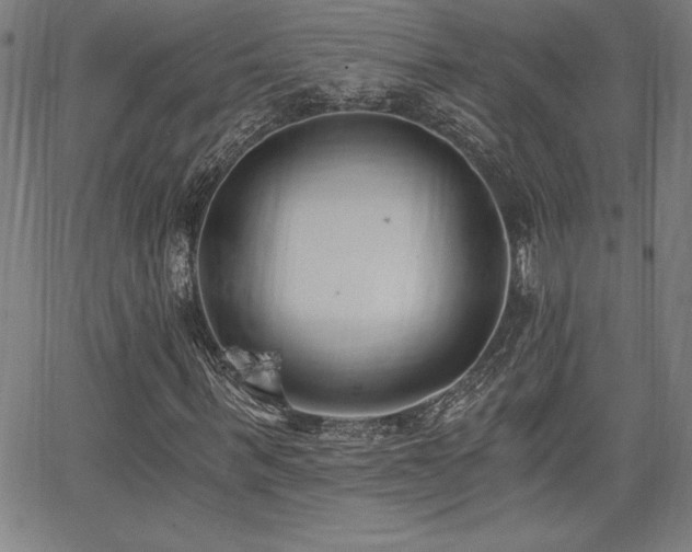 X0000068260963200604211040