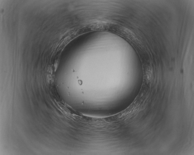 X0000068260964200604211040