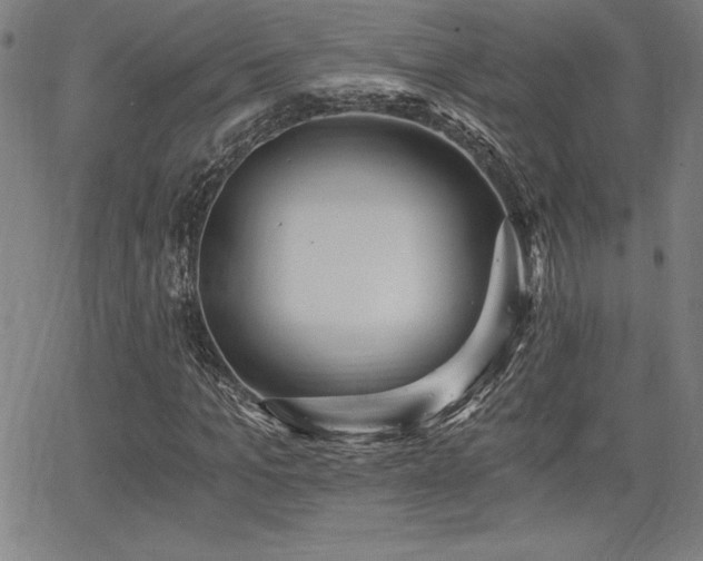 X0000068260965200604211040