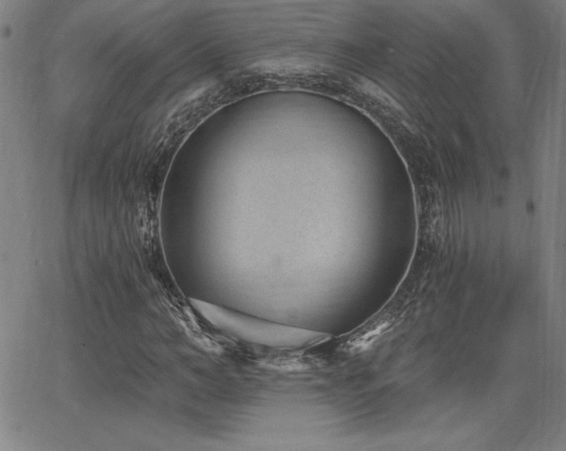 X0000068260966200604211040