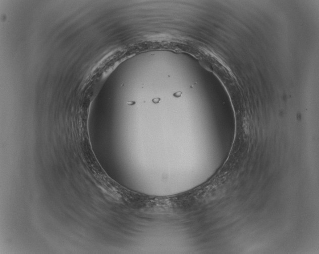 X0000068260968200604211040