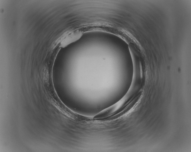 X0000068260969200604211040