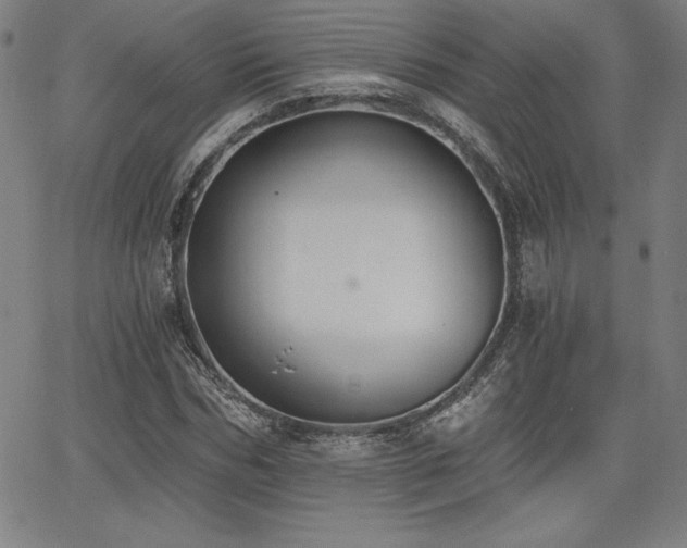 X0000068260970200604211040