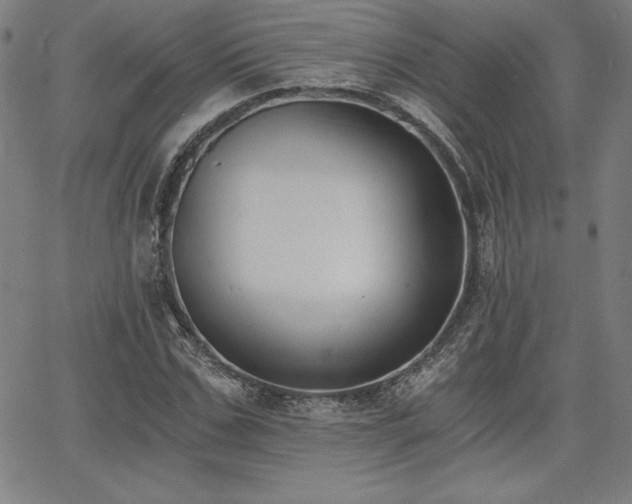 X0000068260971200604211040