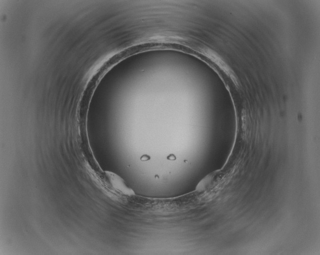 X0000068260972200604211040