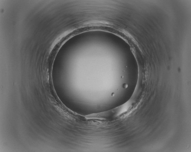 X0000068260973200604211040