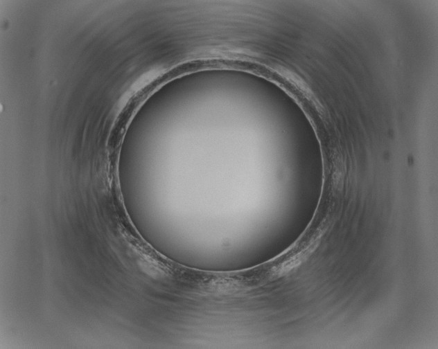 X0000068260974200604211040