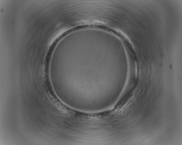 X0000068260975200604211040