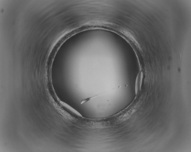 X0000068260976200604211040