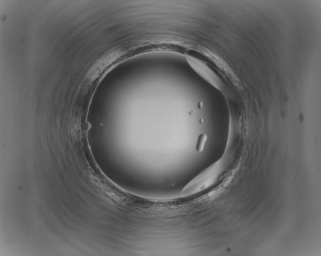 X0000068260977200604211040