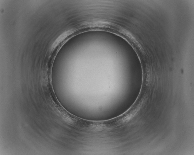 X0000068260978200604211040