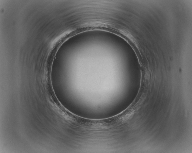 X0000068260979200604211040