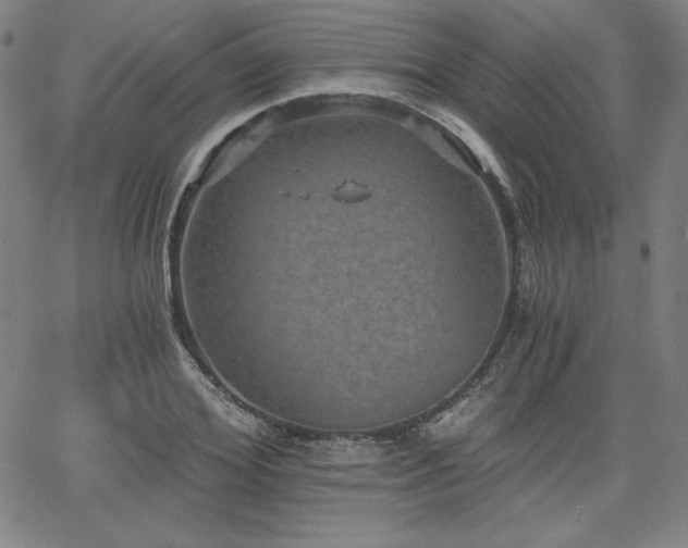 X0000068260980200604211040