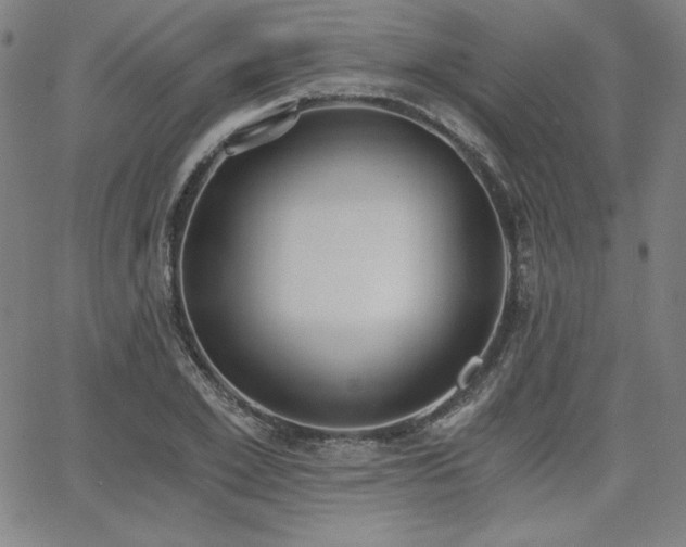 X0000068260981200604211040