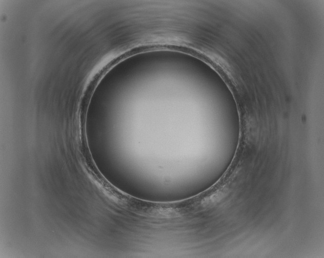 X0000068260982200604211040