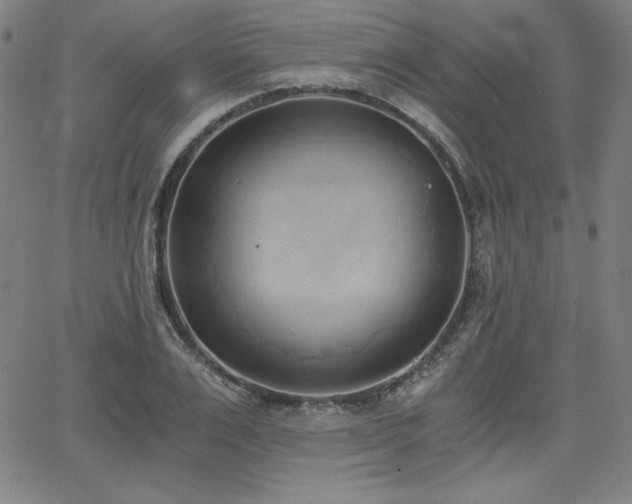 X0000068260983200604211040