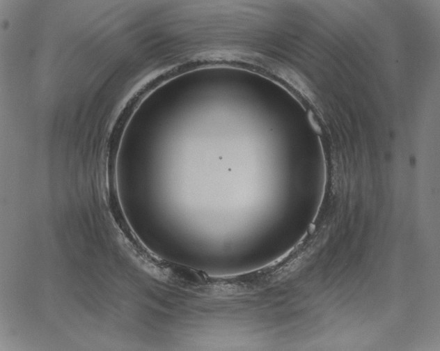 X0000068260984200604211040