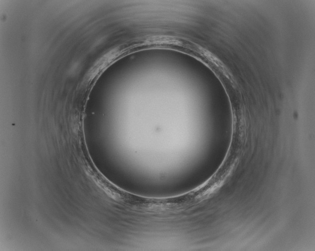 X0000068260985200604211040