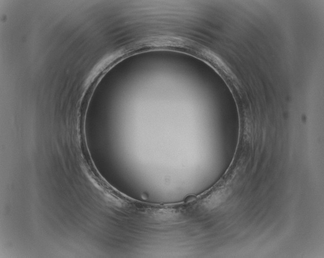 X0000068260986200604211040