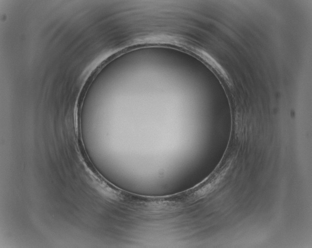 X0000068260988200604211040